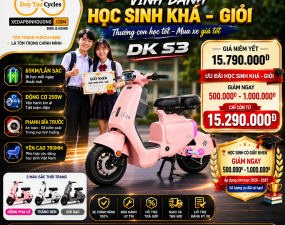 XE MÁY ĐIỆN DK S3