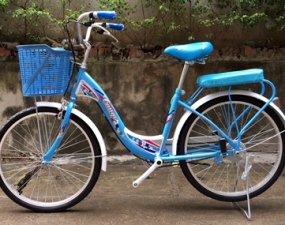 Xe đạp mini cũ