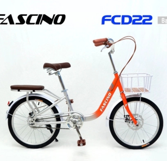Xe đạp mini FASCINO FCD20