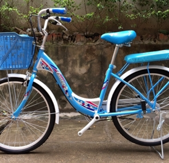 Xe đạp mini cũ